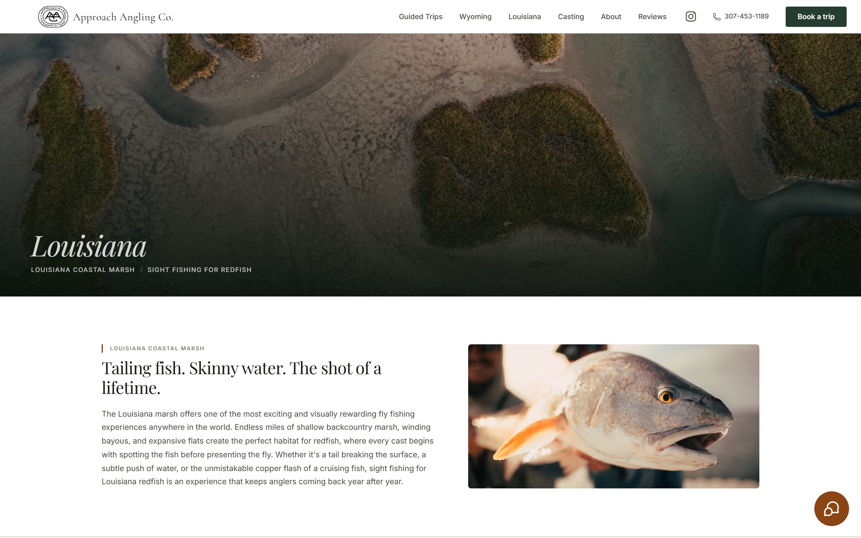 The Louisiana page: an aerial photo of the marsh, then the introduction and a redfish photo
